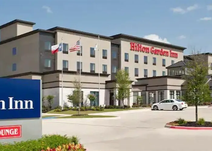 Hilton Garden Worth Medical Center Hotel 3*