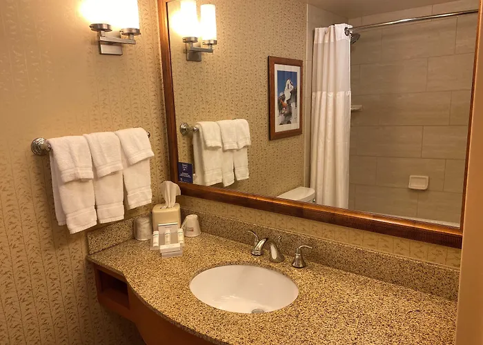 Hotel Hilton Garden Worth Medical Center