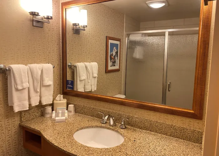 Hotel Hilton Garden Worth Medical Center