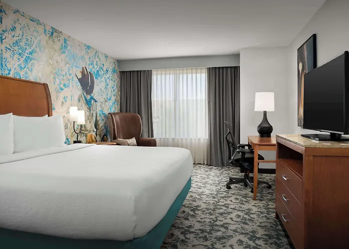 Hotel Hilton Garden Worth Medical Center
